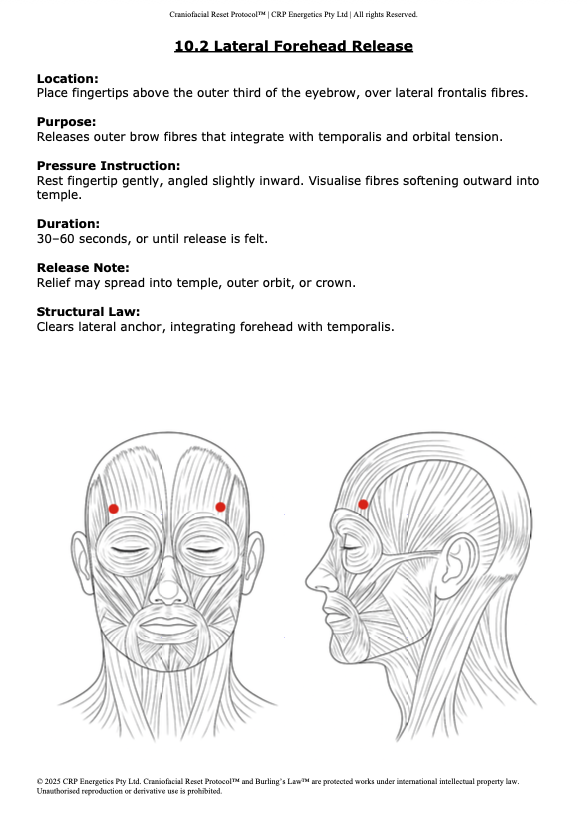 The Craniofacial Reset Protocol (CRP)™ - Full Edition PDF
