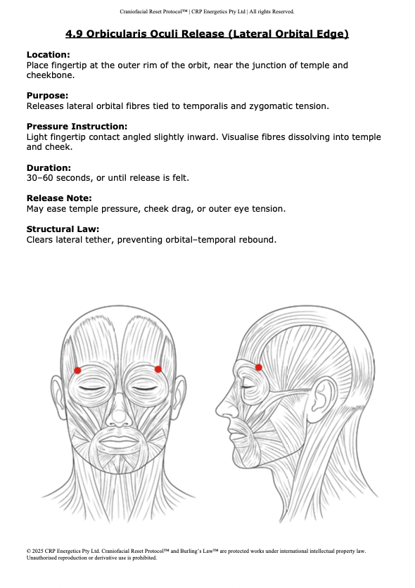 The Craniofacial Reset Protocol (CRP)™ - Full Edition PDF