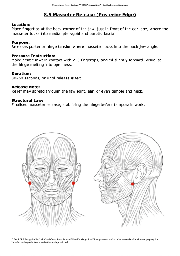 The Craniofacial Reset Protocol (CRP)™ - Full Edition PDF
